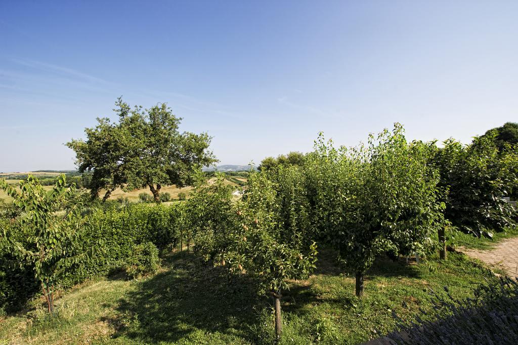 Montepulciano Stazione 아그리투리스모 I 로세티 빌라 객실 사진
