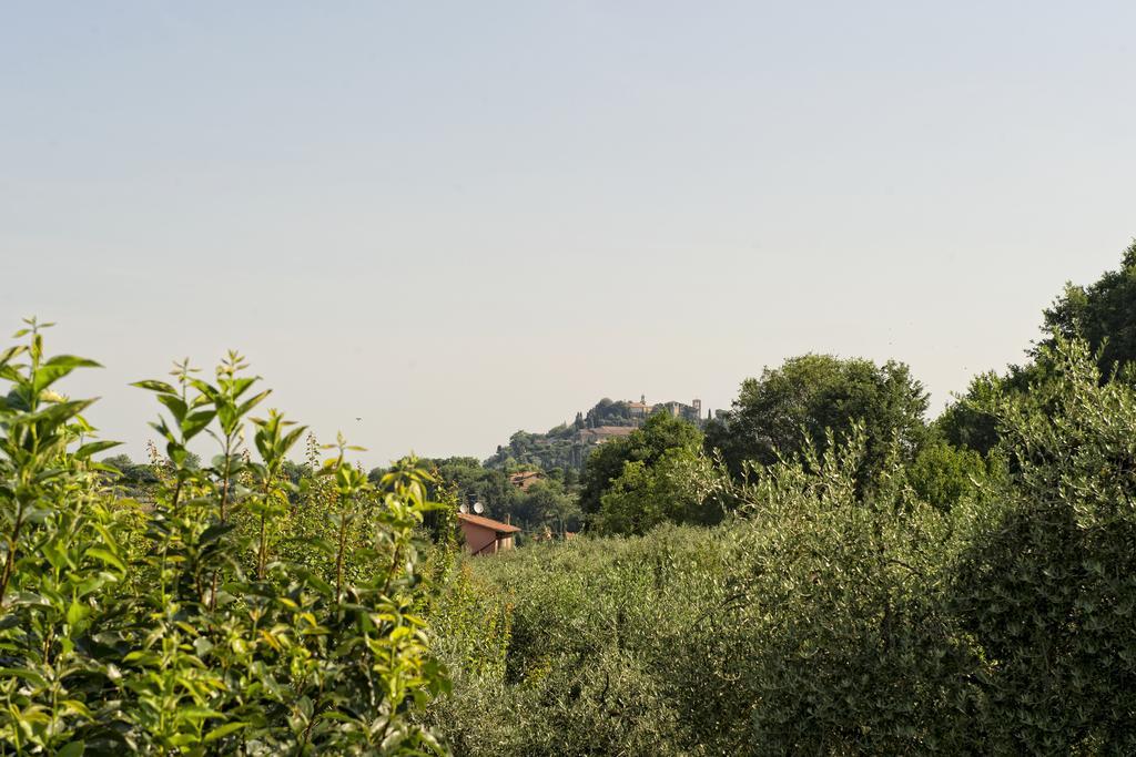 Montepulciano Stazione 아그리투리스모 I 로세티 빌라 객실 사진